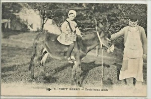 C.P.A / THÈME / EN BERRY - Picture 1 of 1