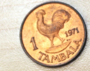 1971 Malawi 1 Tambala Rooster - Picture 1 of 2