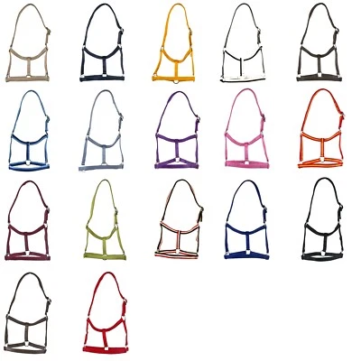 Fohlenhalfter Nylon - Bild 1 von 4