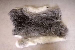 Bellissima pelliccia di coniglio grigia lunghezza: 42 cm Rabbit Fur - Foto 1 di 2
