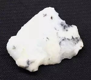 Natural Dendrite Opal Australia Specimen Untreated Loose gemstone Rough 55.80 Ct - Picture 1 of 8