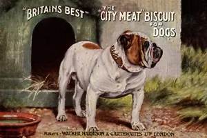 BULLDOG DOG FOOD ADVERT ART PRINT NOVELTY FRIDGE MAGNET GREAT GIFT - Foto 1 di 1