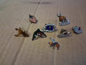 Vintage Montana Motto Souvenir Pins; I love Montana, Montana Native, Fisch - Bild 1 von 11