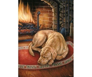 Home is Where the Dog Is Jigsaw Puzzle 1000 pc NIB Cobble Hill Made America - Picture 1 of 1