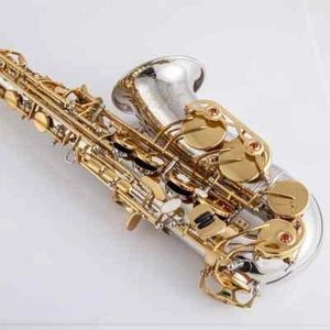 Brand NEW A-WO37 Alto Saxophone Nickel Plated Gold Key Professional - Picture 1 of 16