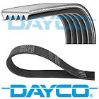 Dayco V-Ribbed Belt 5 Ribs 884Mm Auxiliary Fan Drive Alternator Belt 5Pk884