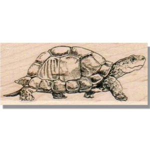 Wood Rubber Stamp, Turtle Taking A Walk, Animal, Wildlife, Walking,Tortoise, Pet - Picture 1 of 2