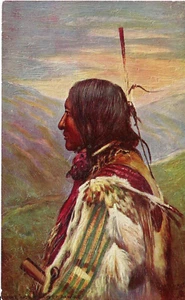 Tuck. Indian Chiefs. #3495. Chief Not Afraid of Pawnee. Oilfacsim. Oilette. UNP. - Picture 1 of 2