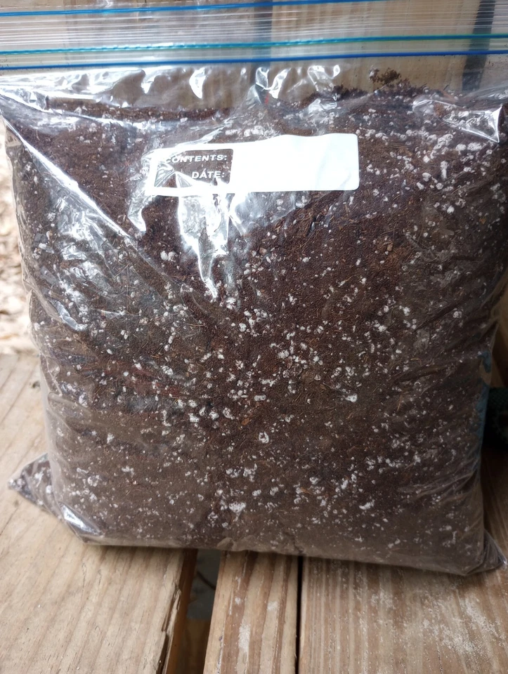 Carnívorous Premium planta mezcla suelo turba/perlita/arena rocío jarra trampa para moscas  Foto 1 de 1