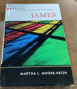 James HC Martha Moore-Keish 2019 Theological Commentary on the Bible WJK VG - Picture 1 of 12