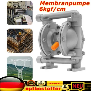 Druckpumpe Membranpumpe Doppelmembranpumpe Diaphragm Pump cast iron 8mm Inlet - Bild 1 von 22