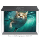 Ingwer Schwimmen Katze niedlich Polyester Fisch Tank Glas Kulisse Aquarium Hintergrund