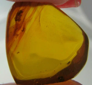 Fossil Amber Dominican Insect Green Bead Authentic Caribbean Stone (1.8 g) #1284 - Picture 1 of 12