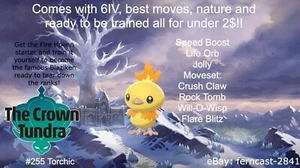 Pokemon Sword And Shield Shiny Torchic 6IV Battle Ready Fast Delivery - Picture 1 of 6