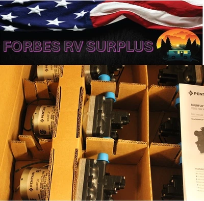 Bomba Revolution SHURFLO 4008-171-A65 115V 3GPM Foto 1 de 4