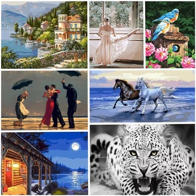 Oil Paint by Numbers Canvas Kit DIY 40x50cm Hobby Wall Art Gift for Adults - Image 1 of 4