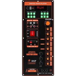 Placa Amplificador Guitarra/Karaoke Bluetooth 5.0 50W con Cancelación de Voz y otros - Imagen 1 de 5