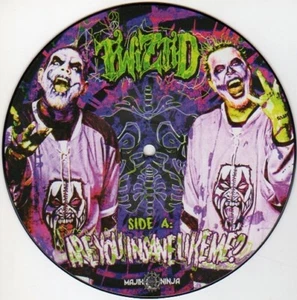 Twiztid Are You Insane Like Me? 7" Limited Edition Picture Disc Rap Sealed - Picture 1 of 1