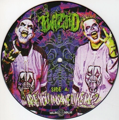 Twiztid Are You Insane Like Me? 7" Limited Edition Picture Disc Rap Sealed - Image 1 of 1