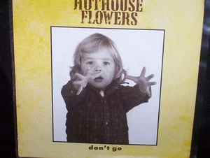HOTHOUSE FLOWERS DON'T GO - AUSTRALIAN 7" 45 VINYL RECORD P/S  - Picture 1 of 3