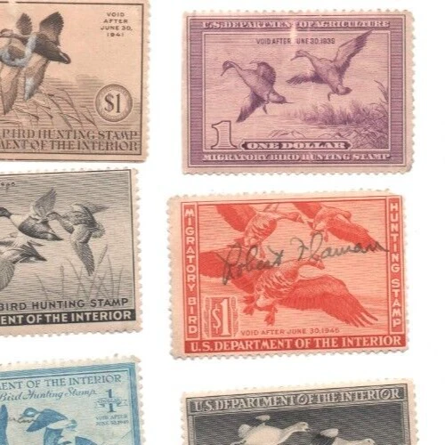 US Dept of Agriculture 1938 One Dollar Migratory Bird Hunting Stamp #RW5 Unused - Image 1 of 2