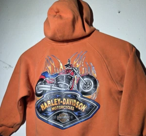 Vintage KIDS Harley Davidson Motor Cycles Hoodie Sweater Fire Flames 90s Y2K USA - Picture 1 of 5