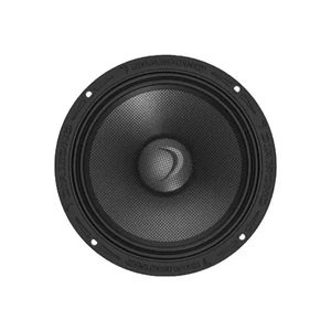 Diamond Audio MSMB102NEO - MSNEO 10" High Power Mid Bass Speakers (2Ω) - Picture 1 of 3