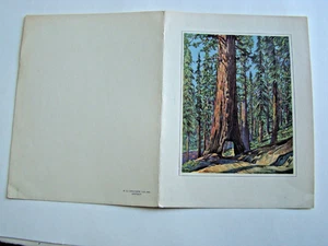 Camp Curry Mittagsmenü Yosemite Nationalpark CA Mariposa Grove Bild 1927 - Bild 1 von 5