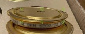 1PC FOR SKN6000/02 SEMIKRON VF1.20U 14KA. NEW . SHIP BY DHL OR FEDEX - Afbeelding 1 van 1