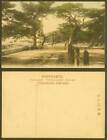 Japan Old Hand Tinted Postcard Maikonohama Kobe, Pine Trees & Street Scene ?????