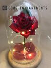 Beauty and the Beast Enchanted Rose *FROSTY VERSION* VALENTINES/BIRTHDAYS ETC