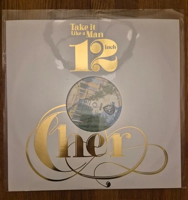 Cher Take it like a Man Vinyl LP - Bild 1 von 2