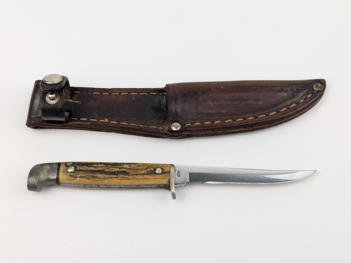 Case Stainless Steel Blade Stag/Antler Handle Collectible Case Stainless Steel Blade Stag/Antler Handle Collectible