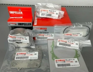 Kit de reparación de bomba de agua fueraborda YAMAHA OEM F150/F200/F225 61A-W0078-A4-0000 - Imagen 1 de 3