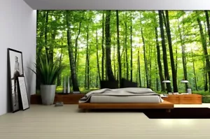 Carta da parati fotografica foresta 368x254cm alberi verdi murale con adesivo tessuto non tessuto - Foto 1 di 7