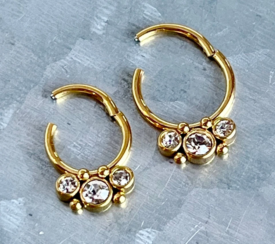 Juego de tres biseles de 1 pieza gemas anillo de segmento con bisagras 16 g clicker de tabique acero 316L Foto 1 de 1