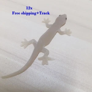 12x Lizard Realistic Fake Cat Toy Prank Rubber Animal Pet Supplies Reptile - Picture 1 of 12