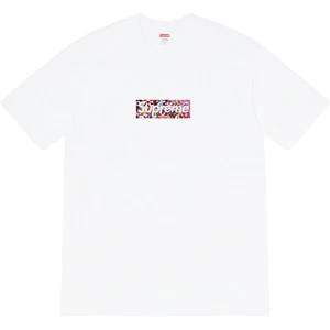 Supreme x Takashi Murakami Box Logo SS20 (SS20T74) Size M-XL - Picture 1 of 4