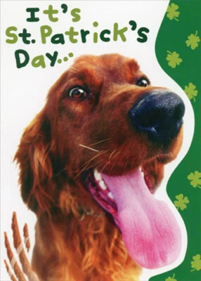 RSVP Irish Setter Closeup Photo Tongue Sticking Out Funny Dog St. Patrick's Day Card