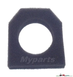 Filtro de aire de espuma Myparts NAC desbrozadora TP248 WLBC260B WLBC305A BP254-10B-V - Imagen 1 de 5