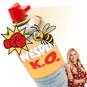 Wespenspray 750 ml, 24 h Sofortwirkung und 3 – 4 m Reichweite - Bild 1 von 4