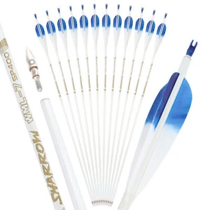 6/12 X 32'' Archery Pure Carbon Arrow 5'' Feather SP400-800 Bow Hunting Shooting - Picture 1 of 31