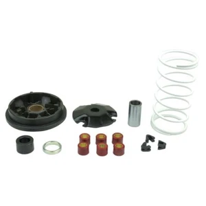 Kit Variatore Trasmissione Speedmatic rulli molla per GILERA DNA LC 50 2000-2002 - Imagen 1 de 4