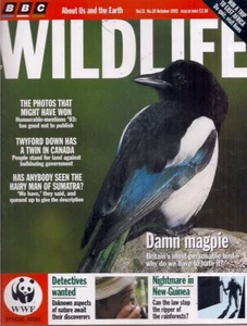 BBC wildlife magazine-OCT 1993-DAMN MAGPIE. - Picture 1 of 3