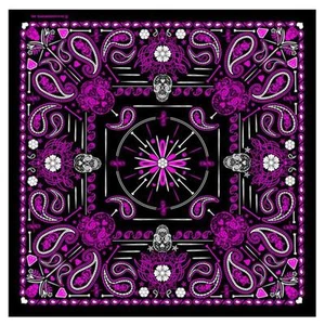 BUY 1 GET 1 FREE HOT PINK PAISLEY SKULLS BANDANA men womens head  #1071 neck HAT - Picture 1 of 1
