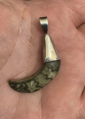 OFERTA Dorset Eoderoceras Pirita/Calcita Ammonita Colgante Plata 925 Foto 1 de 4