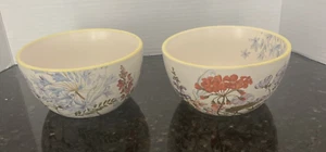 Pier 1 Import Cereal Soup Salad Bowls Botanical Garden Earthenware 6" Set of 2 - Picture 1 of 10