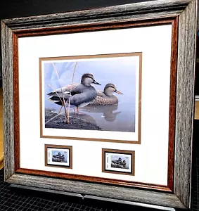 Stampa timbro Daniel Smith 1996 Texas Waterfowl Duck con doppi francobolli - nuova cornice - Foto 1 di 6