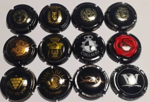 LOTTO DI n°12 CAPSULE SPUMANTE ITALIANE TUTTE DIVERSE come da foto allegata 05 - Foto 1 di 1