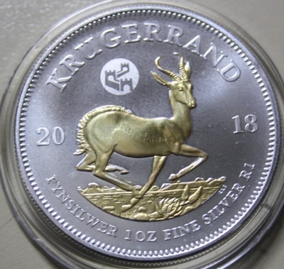 Süd Afrika 1 Rand Krugerrand 2018 Silber 1 oz  #F7221 gildet + Privy Great Wall - Bild 1 von 4